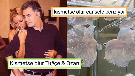 Attıkları Kısmetse Olur Tweetleriyle Yüzümüzü Güldürüp Günümüzü Şenlendiren Twitter Kullanıcıları