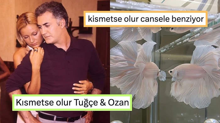 Attıkları Kısmetse Olur Tweetleriyle Yüzümüzü Güldürüp Günümüzü Şenlendiren Twitter Kullanıcıları