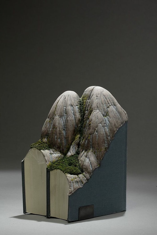 3. Однако настоящую известность ему принесли книжные скульптуры.