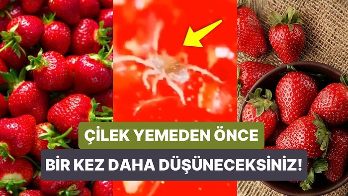 Çileğin Mikroskop Altındaki Görüntülerini Gördükten Sonra Bir Daha Yıkamadan Asla Yemeyeceksiniz