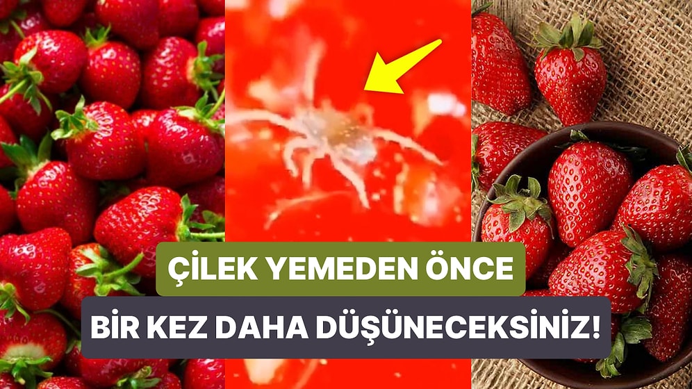 Çileğin Mikroskop Altındaki Görüntülerini Gördükten Sonra Bir Daha Yıkamadan Asla Yemeyeceksiniz