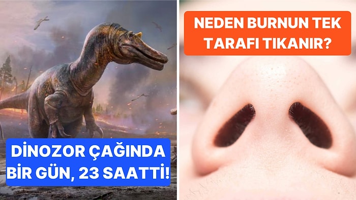 Öğrendiğiniz Andan İtibaren Bilgi Şöleninde Boğulacağınız Birbirinden İlginç Gerçekler