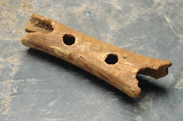 14. Dünyanın en eski müzik aleti ayı kemiğinden yapılma bir flüt!