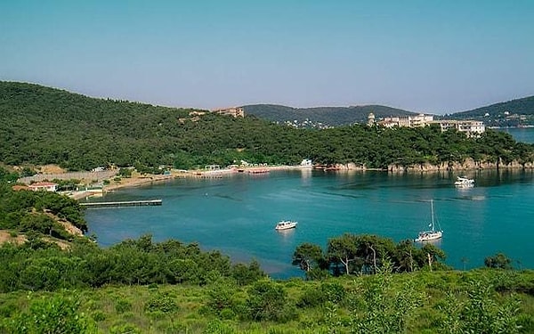 Çay Limanı Bay