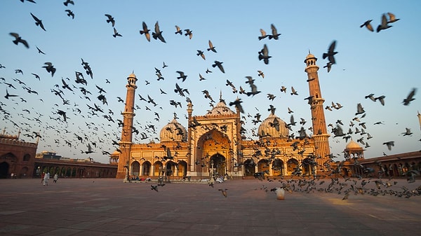 5. ПРАВДА или ЛОЖЬ: Индия — это отдельный континет.