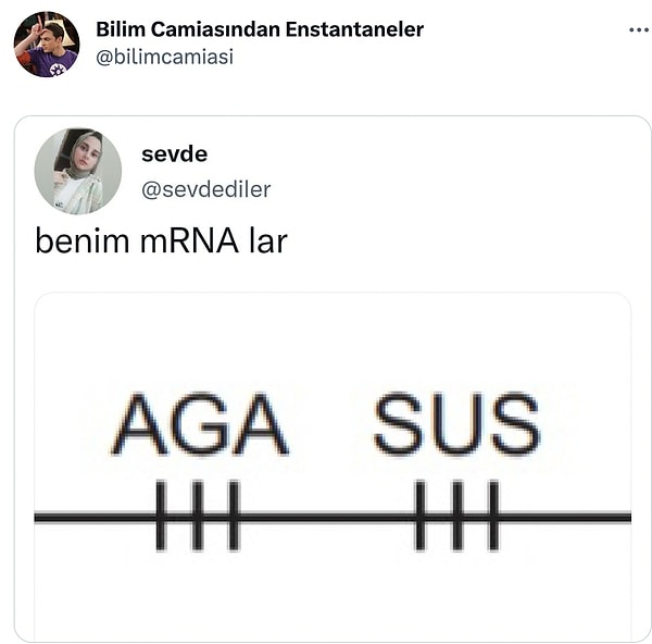 Bilimsel mizahla başlıyoruz.