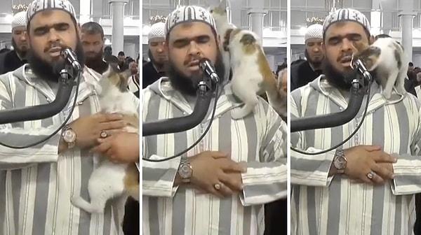 Cezayir’de bir camide teravih namazı kıldıran imamın sırtına kedi tırmandı.