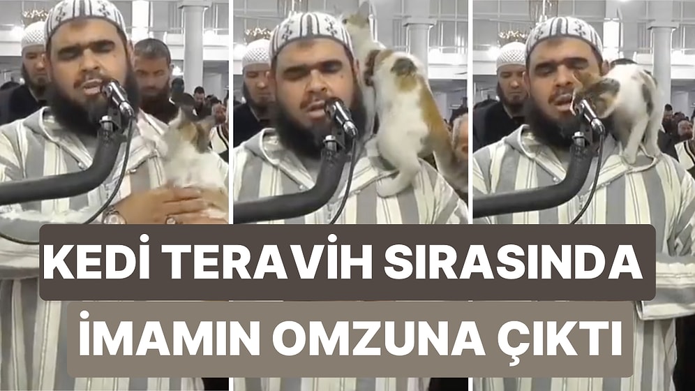 Teravih Namazı Sırasında İmamın Omzuna Çıkan Kedinin Viral Olan Görüntüleri