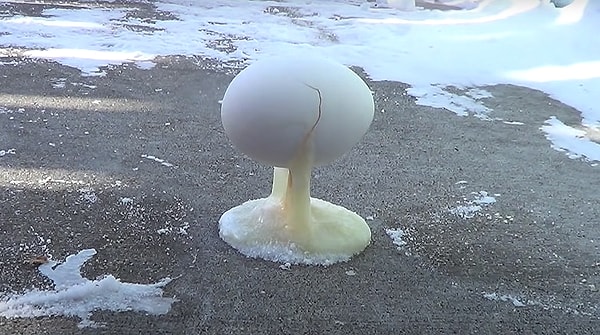 6. Пожалуй, сегодня останусь дома