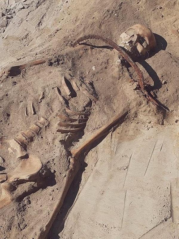 6. Polonya'nın Pien köyünde 17. yüzyıldan kalma bir mezarlıkta yapılan arkeolojik çalışmalar sırasında, tekrar hayata dönmesini engellemek için boğazına orak geçirilerek yere yatırılmış bir kadın "vampirin" kalıntıları bulundu!