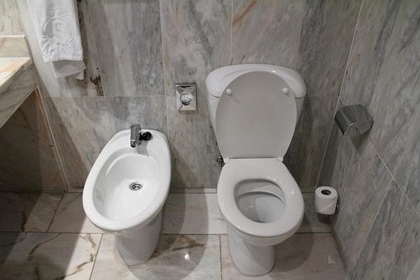 13. "Taharet musluğu olayını da, alaturka tuvaleti de ilk kez Orta Doğu ülkelerini ziyaret ettiğim zaman görmüştüm."