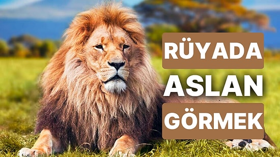 Rüyada Aslan Görmek: Güçler Dengesi Değişecek Ormanın Kralı Belli Olacak