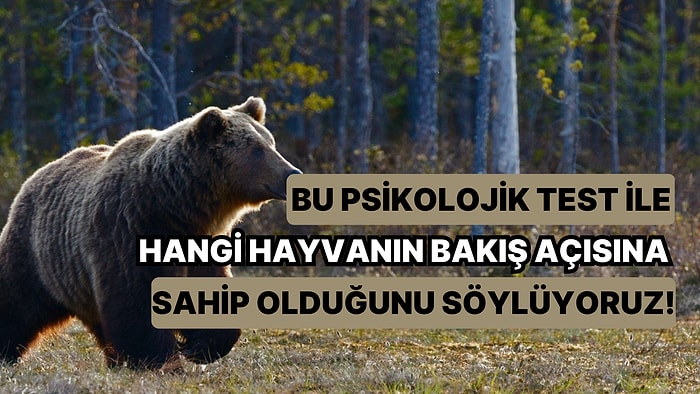 Bu Psikolojik Test ile Hangi Hayvanın Bakış Açısına Sahip Olduğunu Söylüyoruz!