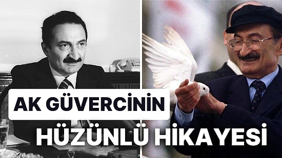 Ak Güvercinin Hüzünlü Hikayesi: Cumhur İttifakına Katılan Demokratik Sol Parti'nin Yıllar İçindeki Değişimi