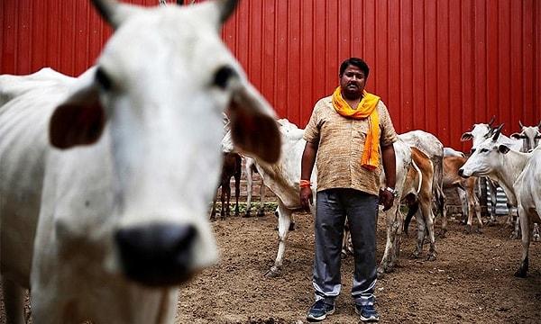 Hindistan'da yaşayan 200 milyon Müslüman var: Halk, et tüketimini Hindistan karşıtlığı olarak görerek konuyu "Hindistan milli değerlerine" çekmeye başladı.