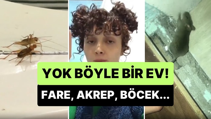 Yaşadığı Evin İçinde Fare, Akrep ve Böceklerin Bulunduğunu Söyleyen Kadın Akıllara Durgunluk Verdi