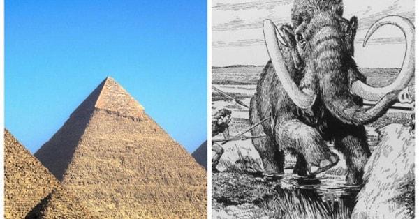 7. Büyük Piramit inşa edildiğinde mamutlar halen hayattaydı.