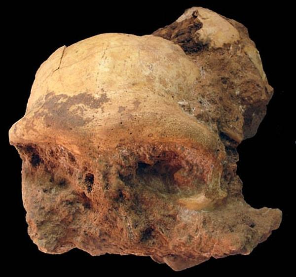 … ve Homo Sapiens'in ortaya çıkmasından en az 200.000 yıl önce Çin'deki Homo Erectus mezarlıklarında kırmızı toz izleri keşfedildi. O zamandan beri, Antik Çin'den Antik Yunanistan'a ve Mısır'dan Olmec'e kadar dünyadaki her uygarlığın sanatında ve siyasetinde kırmızı var olmuştur.