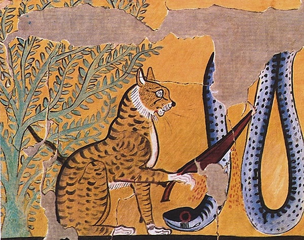 Bazı kültürlerde kediler, iyi şans ve bereketin sembolü olarak kabul edilir.