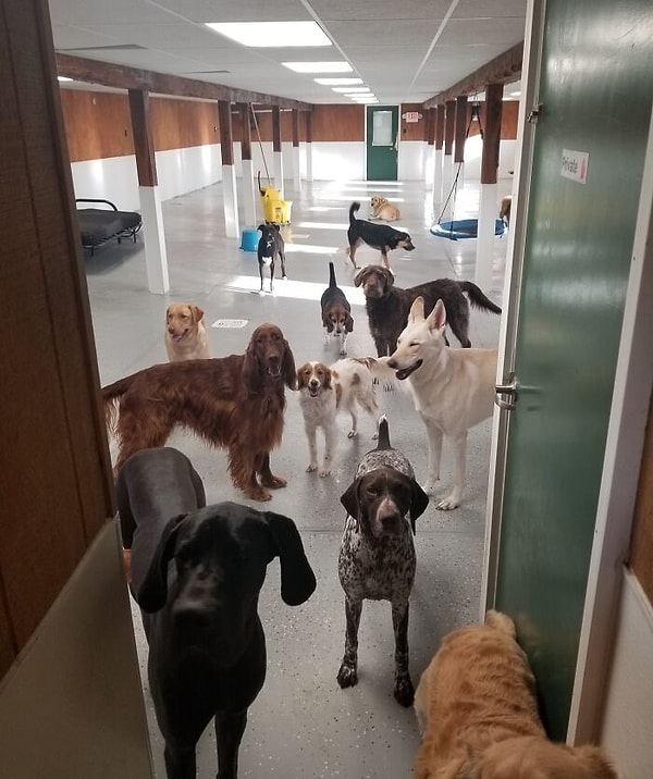 9. «Безумно завидую новой работе моей жены»