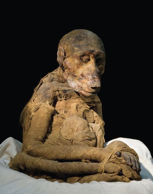 6. Mısır'daki Khons Tapınağı'nda mumyalanmış bir babun bulundu 👇