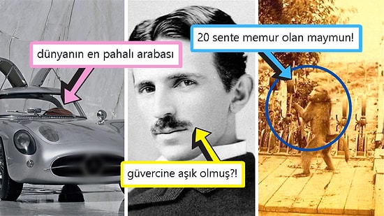 Öğrenince Size Küçük Çaplı Şok Geçirtecek Daha Önce Hiç Duymadığınız 17 İlginç Bilgi