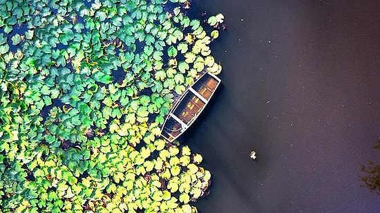 Acarlar Floodplain: Discovering Turkey's First Degree Natural Protected Area