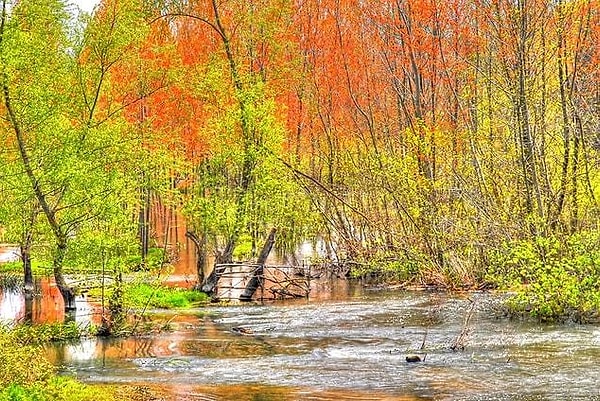 When to visit Acarlar Floodplain?