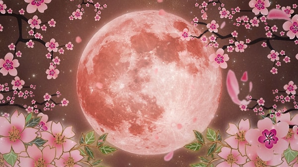 Если вы действительно хотите подключиться к энергии полнолуния, то можете совершить особенный ритуал