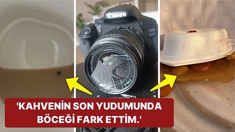 Çöle Düşse Kutup Ayılarıyla Karşılaşıp Birtakım Tatsız Olaylar Yaşayabilecek 15 Bahtsız Kişi