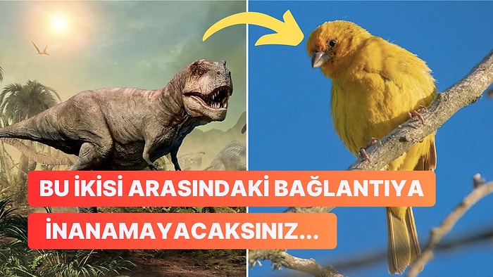 Bilim İnsanları Açıkladı: Eğer Dinozorlar Günümüzde Yaşasaydı Hayatta Kalabilirler miydi?