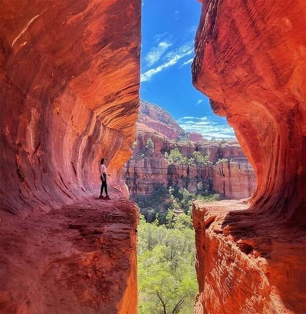 13. Удивительной красоты фотография!