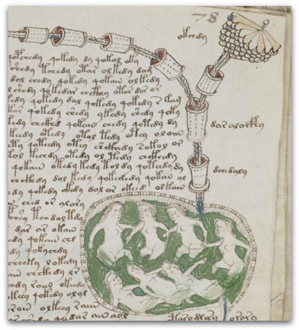 5. Voynich El Yazması – 15. Yüzyıl, İtalya