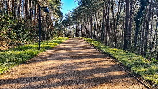 Ataturk Urban Forest: A Natural Haven in the Heart of Istanbul