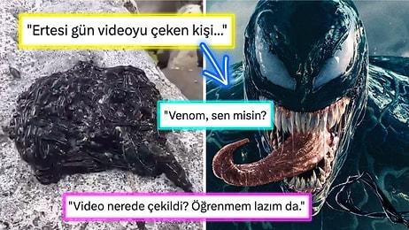 Korku Filmlerinden Fırlamış Gibi Duran 'Venom' Benzeri Solucanın İlginç Görüntüleri Viral Oldu!