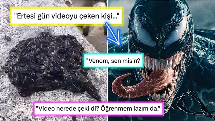 Korku Filmlerinden Fırlamış Gibi Duran 'Venom' Benzeri Solucanın İlginç Görüntüleri Viral Oldu!