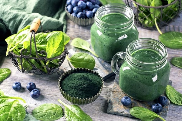 9. 2015 yılında yapılan bir araştırmaya göre, mavi-yeşil bir alg olan spirulina, alerjik rinite karşı antialerjik koruyucu etkiler gösterdi.