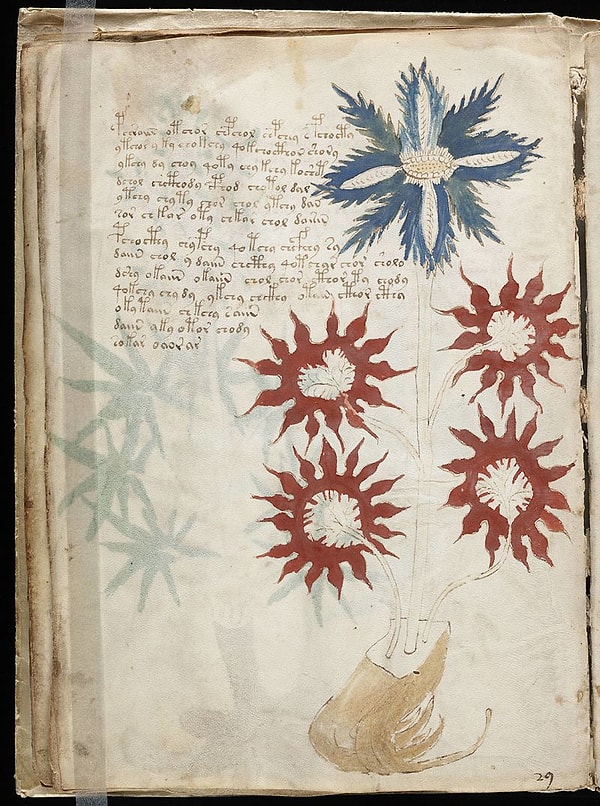 2. 15. yüzyılda yazıldığı tahmin edilen Voynich El Yazması, bulunduktan sonra bilim insanlarını şaşırttı çünkü ne yazdığı hala çözülemedi.