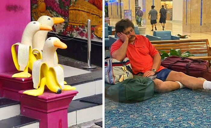 40 самых причудливых скульптур, которые помогут вам проснуться лучше, чем кофе