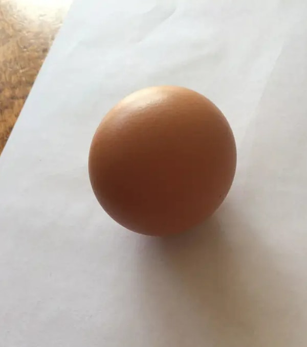 10. Вот так, друзья мои, выглядит идеально сферическое яйцо: