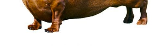 1. Начинаем!