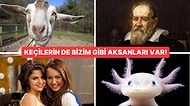 Kulağa İnandırıcı Gelmeyen Ama Öğrenince Sizleri Hayretler İçinde Bırakacak 15 Tuhaf Bilgi
