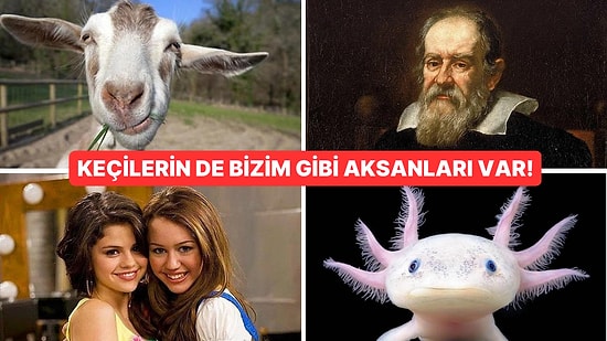 Kulağa İnandırıcı Gelmeyen Ama Öğrenince Sizleri Hayretler İçinde Bırakacak 15 Tuhaf Bilgi