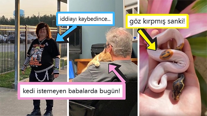 Gördüğünüz Anda İçinizin Yağlarını Eritip Sizi Pamuk Gibi Yapacak Birbirinden Etkileyici 17 Görsel