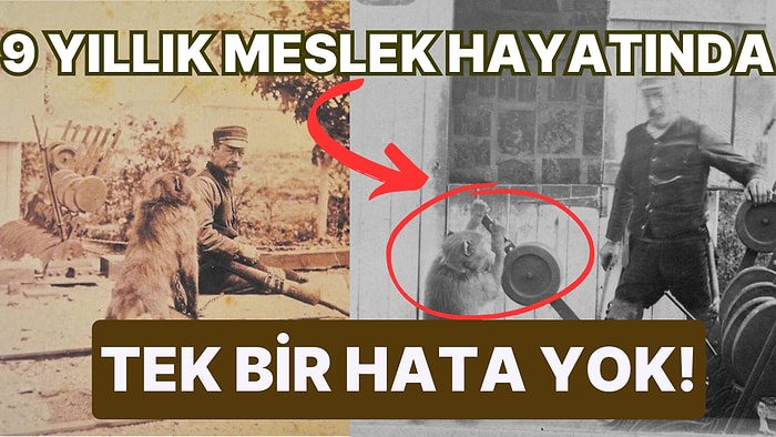 Demiryolunda Sinyal Görevlisi Olarak Çalışan ve İşinde Tek Bir Hata Yapmayan Babun Jack!