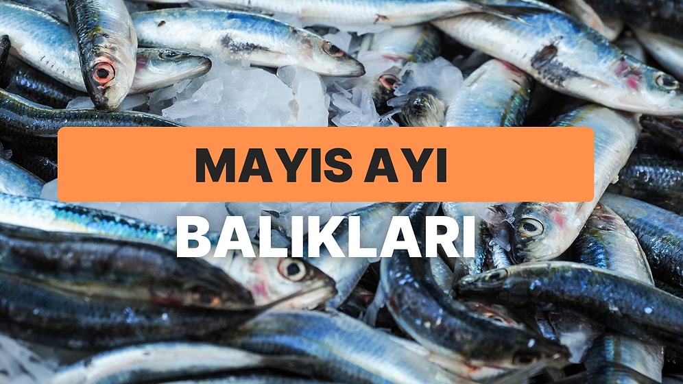 Omega 3 Deposu Olan Sofralarınızdan Eksik Etmeyeceğiniz Mayıs Ayı Balıkları Rehberi