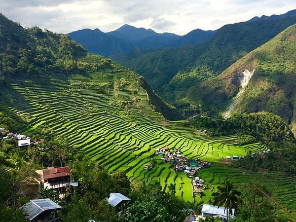 Banaue Pirinç Terasları - Filipinler