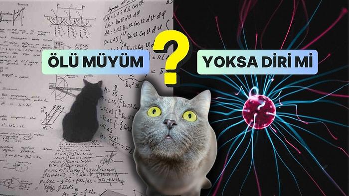 Saç Baş Yolduran Teorilerle Popüler Kalarak Kuantum Deyince İlk Akla Gelen Deney: Schrödinger'in Kedisi