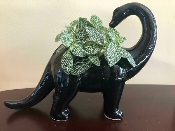 8. «Одно из моих любимых сочетаний»