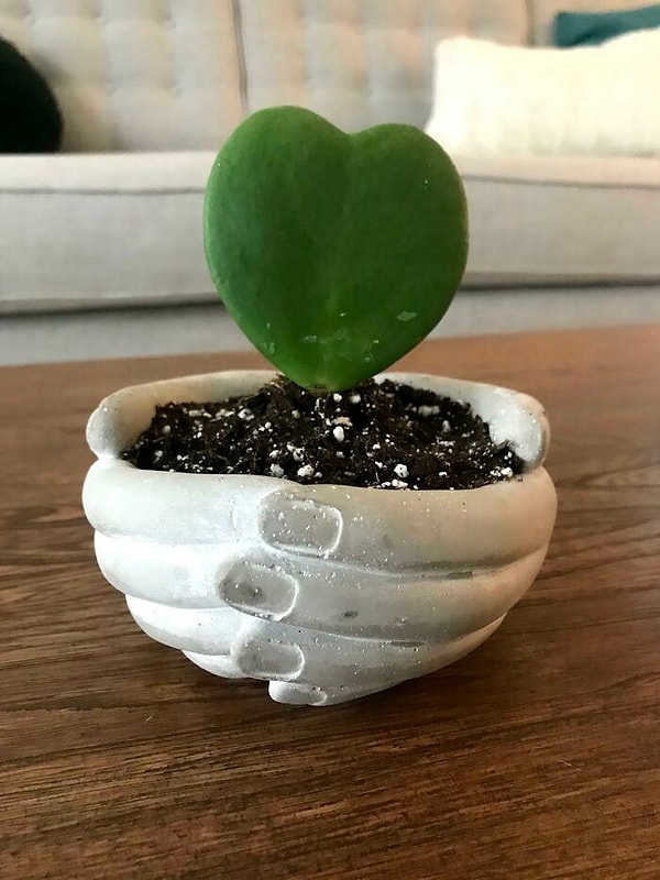 10. Очень романтично